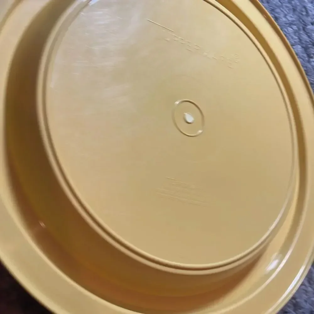 Vintage cake taker Tupperware